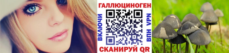 купить наркоту  OMG маркетплейс  Галлюциногенные грибы Psilocybe  Курганинск 