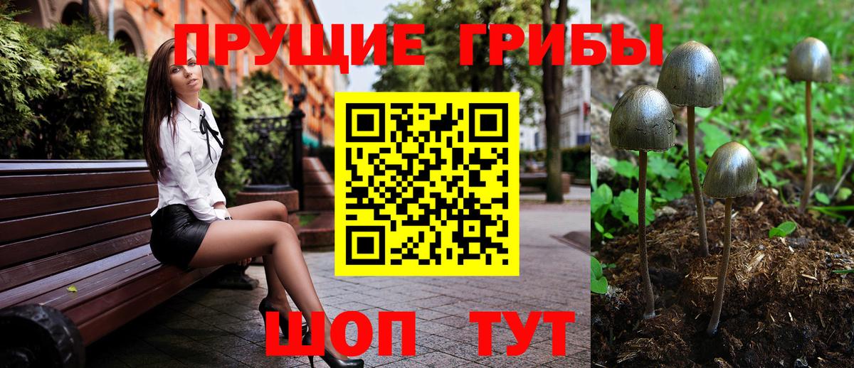 Псилоцибиновые грибы MAGIC MUSHROOMS  Псилоцибиновые грибы Psilocybe  Вход с VPN  Курганинск 